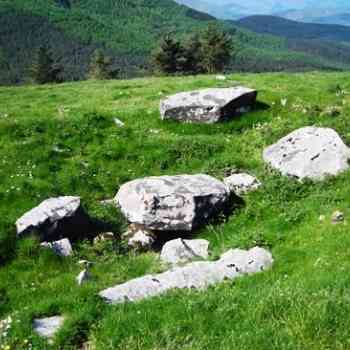 dolmen de Argarbi (GIPUZKOA)