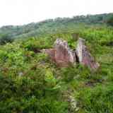 dolmen de Urriki ekialde  (NAVARRA)