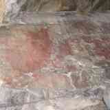 Pinturas rupestres de Monfragüe (3)