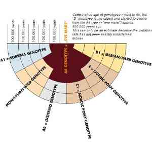 Antigüedad genotipos de caballos (de H.Oelke)