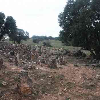 Click para ampliar. Pulsa en el nombre para ver la ficha. Castilviejo de Guijosa