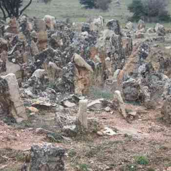 Click para ampliar. Pulsa en el nombre para ver la ficha. Castilviejo de Guijosa