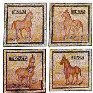 Click para ampliar. Pulsa en el nombre para ver la ficha. Caballos en el mosaico de Torre de Palma