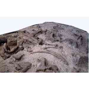 Click para ampliar. Pulsa en el nombre para ver la ficha. Yacimiento de Ambrona