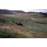 Click para ampliar. Pulsa en el nombre para ver la ficha. Yacimiento de Ambrona