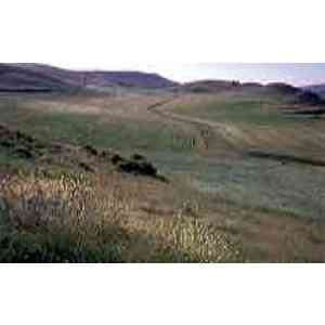 Click para ampliar. Pulsa en el nombre para ver la ficha. Yacimiento de Ambrona