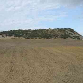 Click para ampliar. Pulsa en el nombre para ver la ficha. Jerez de la Frontera 4: Asta Regia (muralla natural)