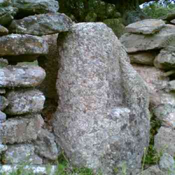 Click para ampliar. Pulsa en el nombre para ver la ficha. Mailla