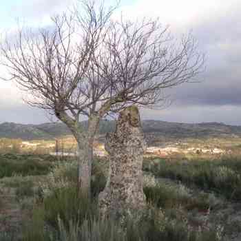 Estatua-menhir en Barrela