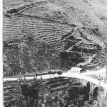 Click para ampliar. Pulsa en el nombre para ver la ficha. CODOS D0 LAROUCO