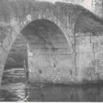 Click para ampliar. Pulsa en el nombre para ver la ficha. PONTE LUBIANS