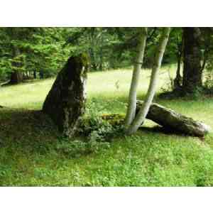 dolmen de Camping Selva de Oza (HUESCA)