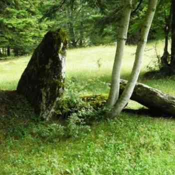 Click para ampliar. Pulsa en el nombre para ver la ficha. dolmen de Camping Selva de Oza (HUESCA)