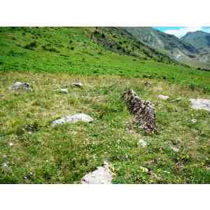 Click para ampliar. Pulsa en el nombre para ver la ficha. dolmen de Las Fitas norte (HUESCA)