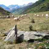 Click para ampliar. menhir de Mallo Blanco (HUESCA)