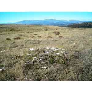 posible nuevo campo tumular en Palencia