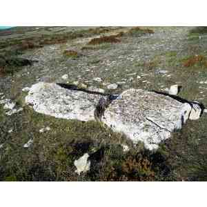 menhir de Canto hito 2 (PALENCIA)