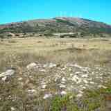 Click para ampliar. nuevo campo tumular de Burgos