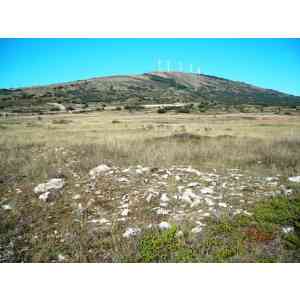 nuevo campo tumular de Burgos