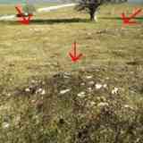 Click para ampliar. campo tumular El Muro Hego (NAVARRA)