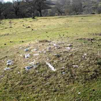 Click para ampliar. Pulsa en el nombre para ver la ficha. nuevo campo tumular de  Alava