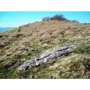 Click para ampliar. Pulsa en el nombre para ver la ficha. menhir de Altsoroi  2 ipar(NAVARRA)