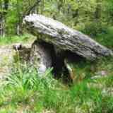 dolmen de Otsopasaje (NAVARRA)