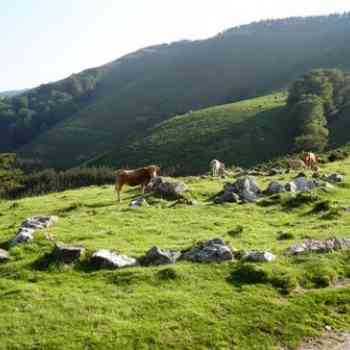 cromlechs de Errekaleku (NAVARRA)