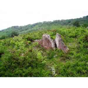 dolmen de Urriki ekialde  (NAVARRA)