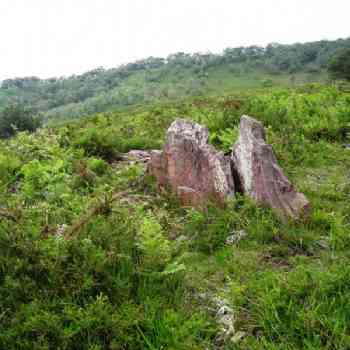 Click para ampliar. Pulsa en el nombre para ver la ficha. dolmen de Urriki ekialde  (NAVARRA)