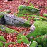 Click para ampliar. dolmen de Artola 1 (NAVARRA)