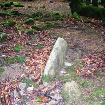 Click para ampliar. Pulsa en el nombre para ver la ficha. dolmen de Errandonea  hego  (NAVARRA)