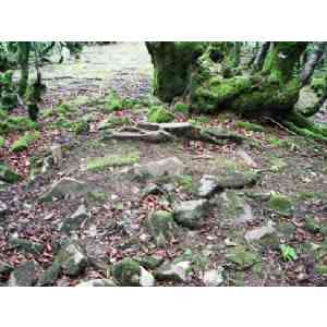 Click para ampliar. Pulsa en el nombre para ver la ficha. dolmen de Errandonea ipar (NAVARRA)
