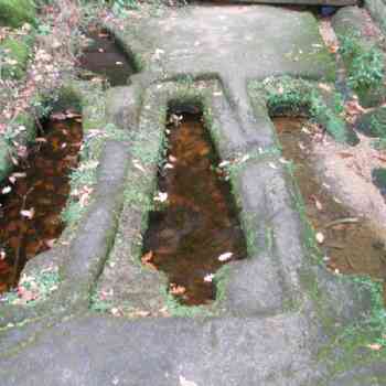 Click para ampliar. Pulsa en el nombre para ver la ficha. CENOBIO SAN PEDRO DAS ROCHAS