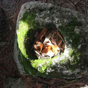 Click para ampliar. Pulsa en el nombre para ver la ficha. Posible cazoleta? Pedro Bernardo, Ávila, Valle del Tiétar.