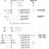 Click para ampliar. TRANSLITERATION OF IBERIC COINS, IN HEBREW LANGUAGE. CALCOS CELESTINO.