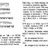 Plomo Peña del moro Sant Just Desvern
Transliteración hebreo actual.