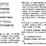 Click para ampliar. Plomo Peña del moro Sant Just Desvern
Transliteración hebreo actual.