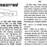 Lámina de bronce ibérica, Numancia, Transliteración hebrea y Schökel