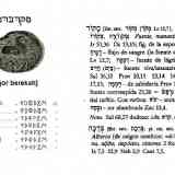 Click para ampliar. Moneda ibérica mqrbrk, Transliteración hebrea.