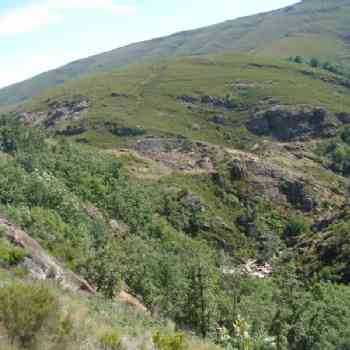 Click para ampliar. Pulsa en el nombre para ver la ficha. CASTRO DAS MURADELLAS