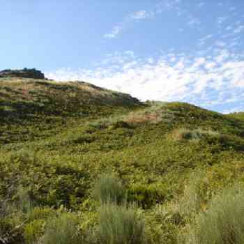 Click para ampliar. Pulsa en el nombre para ver la ficha.  CASTRO FRIEIRAS (fORMIGOSO)