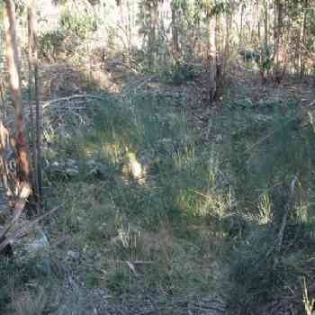 Click para ampliar. Pulsa en el nombre para ver la ficha. CIVIDADE ANCORA