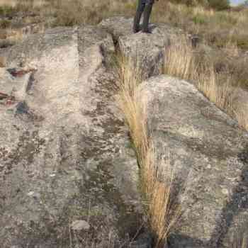 Castro de San Millán.
