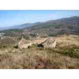 Click para ampliar. Pulsa en el nombre para ver la ficha. cossourado