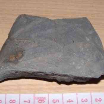 Click para ampliar. Pulsa en el nombre para ver la ficha. de tumba de teja romana 4?