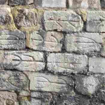 Click para ampliar. Pulsa en el nombre para ver la ficha. Estelas?