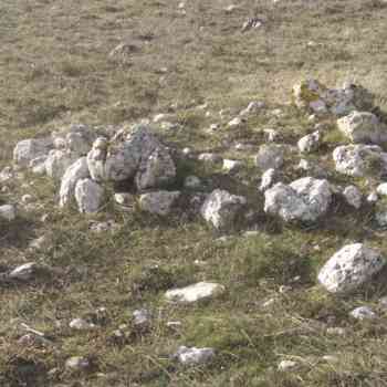 Click para ampliar. Pulsa en el nombre para ver la ficha.