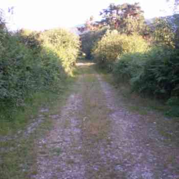 Click para ampliar. Pulsa en el nombre para ver la ficha. Camino ¿calzada? en Pelendonia 03