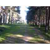 Click para ampliar. Pulsa en el nombre para ver la ficha. Camino ¿calzada? en Pelendonia 02